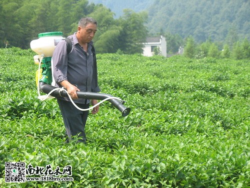 細菌