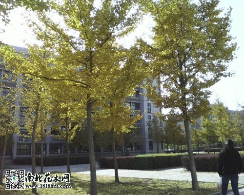 20150331125715_yCNj4.thumb.700_0