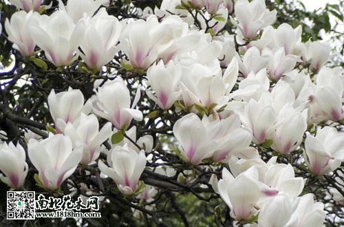 20140415205448_wRnjA.thumb.700_0