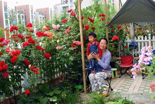 養花技巧