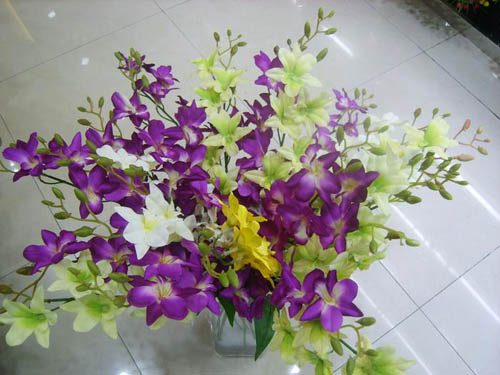 泰國蘭花