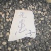 無患子種子供應