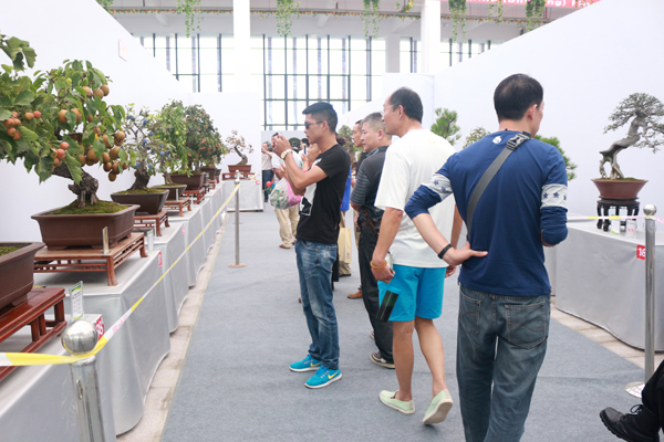 沭陽國際花木城園藝中心內部展品1