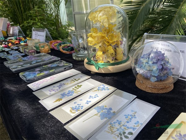 現場展示的繡球花加工產品 - 復件.jpg