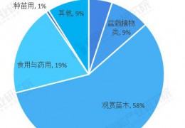 2022年中國盆栽植物行業發展現狀及市場規模分析