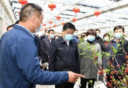 沭陽縣委書記彭偉——“支部賦能”打造花木產業集群