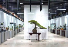 久違！開年第一展，開啟新篇章