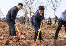 沭陽開展2023年義務植樹活動